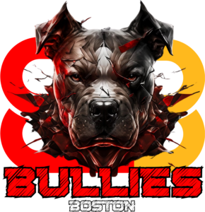 Bos Bullies team logo