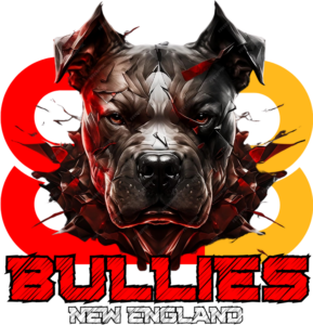 Ne Bullies team logo
