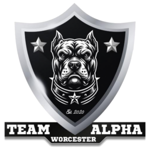 Worcester Cowboys Team Alpha team logo